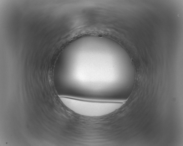 X0000082721490200701261016