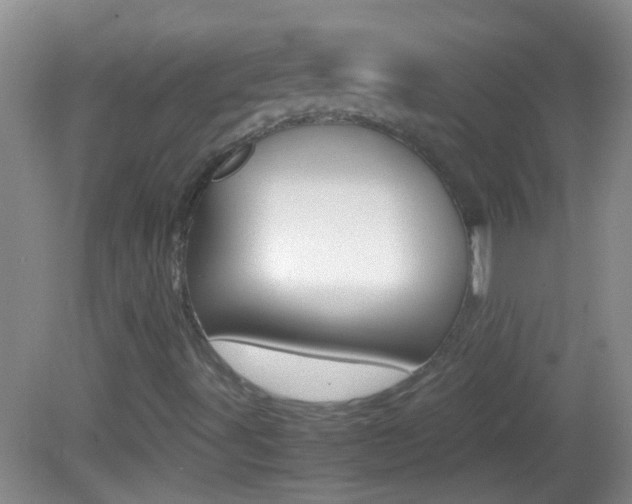 X0000082721491200701261016