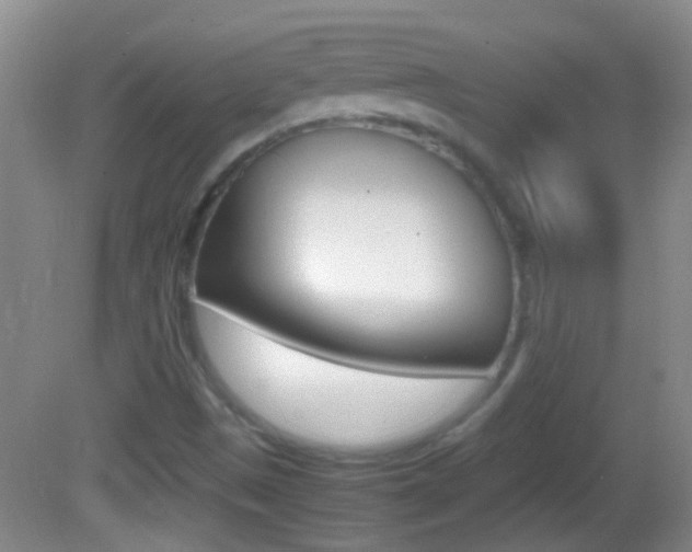 X0000082721497200701261016
