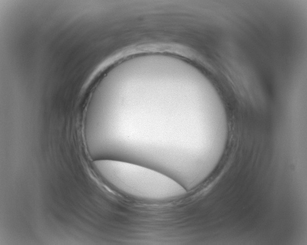 X0000082721498200701261016