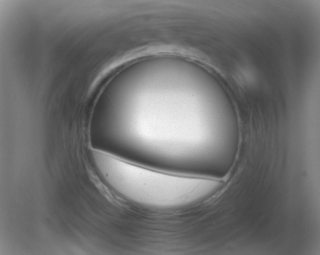 X0000082721499200701261016