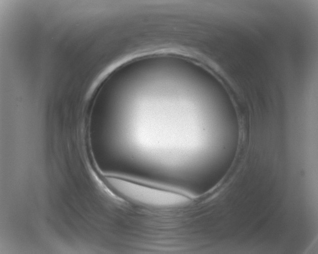 X0000082721500200701261016