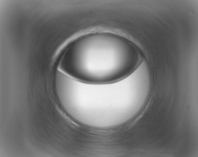 X0000082721502200701261016