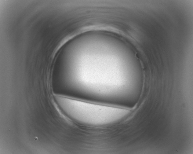 X0000082721513200701261016