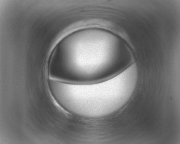 X0000082721516200701261016