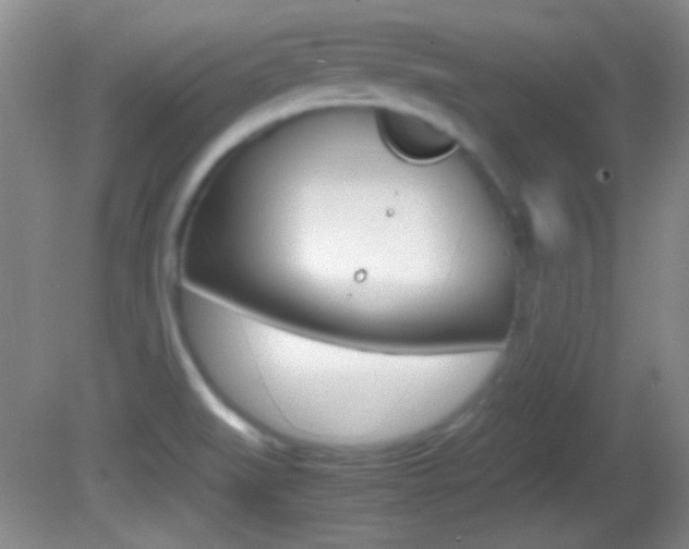 X0000082721519200701261016