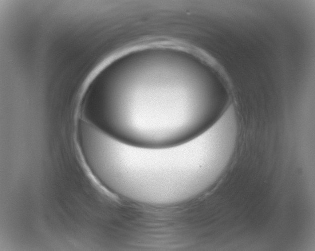 X0000082721520200701261016