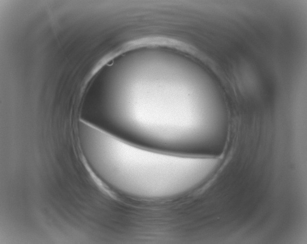 X0000082721521200701261016