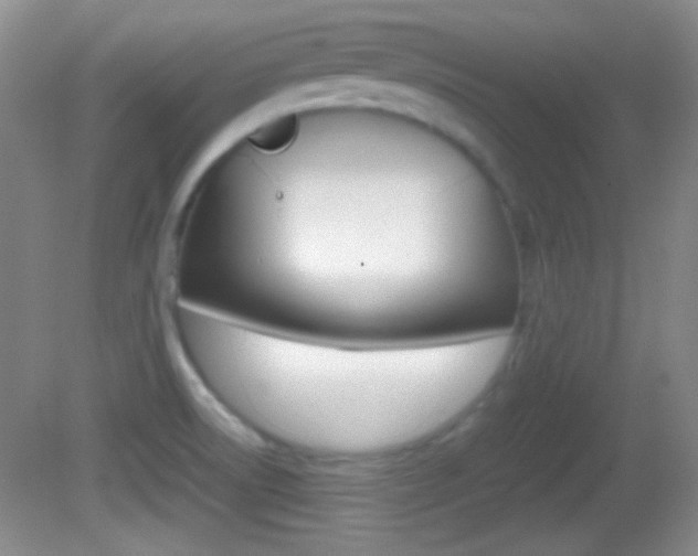 X0000082721522200701261016