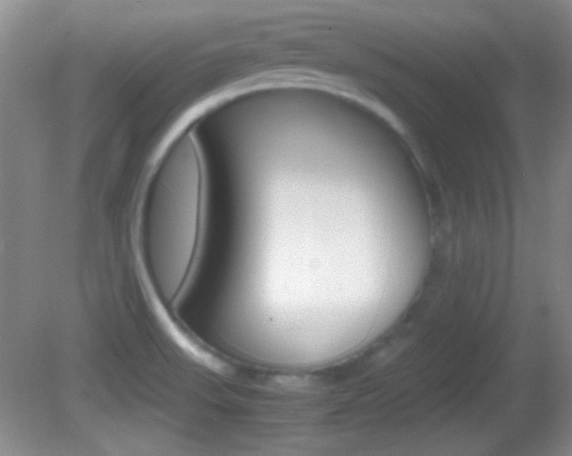 X0000082721523200701261016