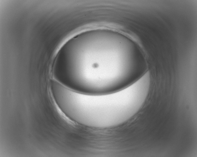 X0000082721524200701261016