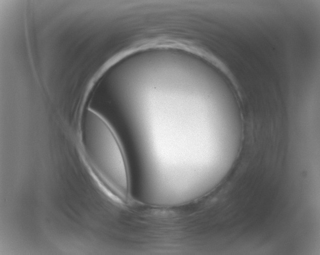 X0000082721525200701261016