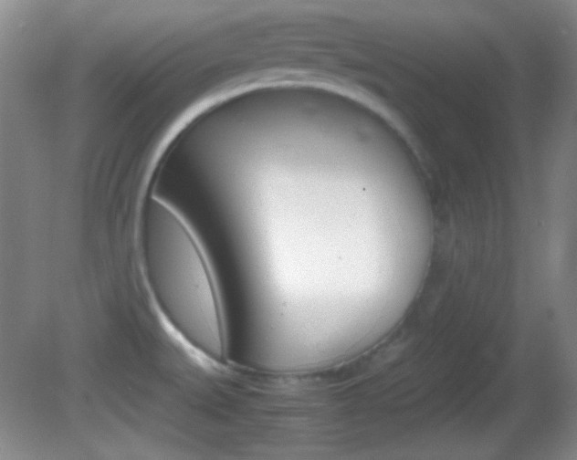 X0000082721527200701261016