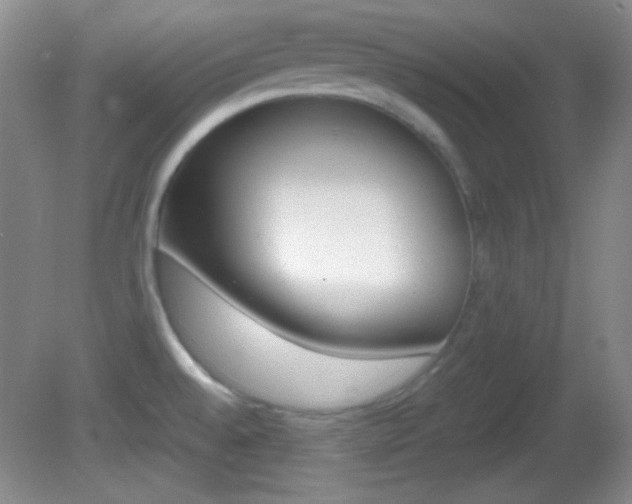 X0000082721528200701261016