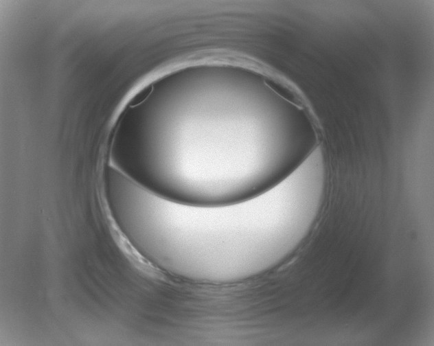 X0000082721530200701261017