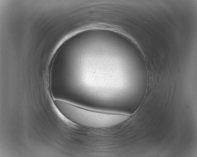 X0000082721531200701261017