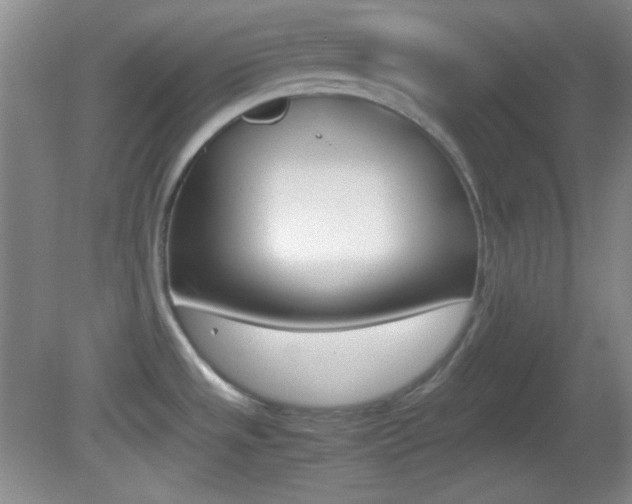 X0000082721533200701261017