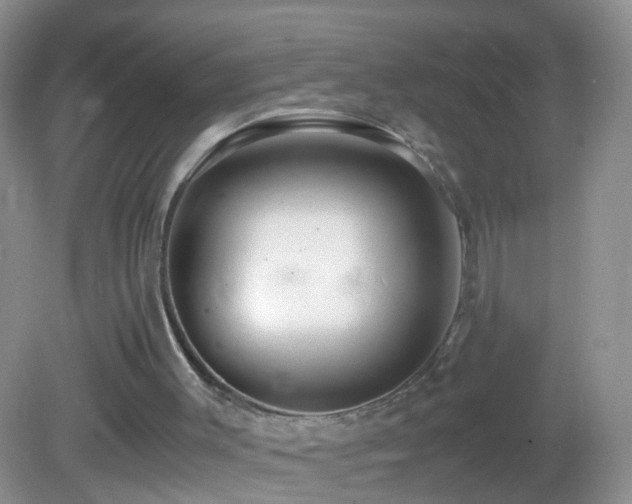 X0000082720003200701261231