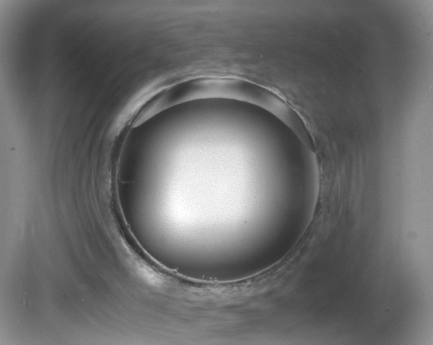 X0000082720005200701261231