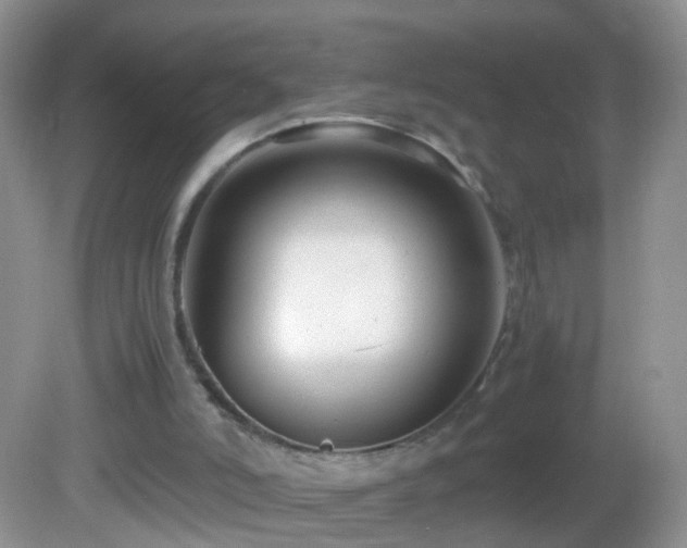 X0000082720006200701261231