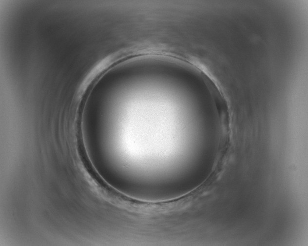 X0000082720007200701261231