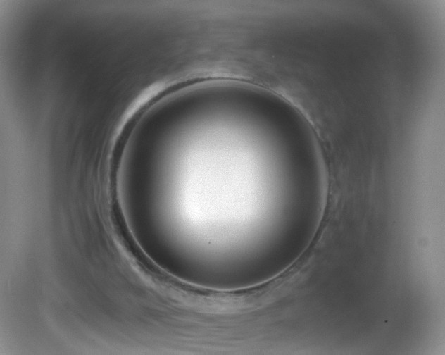X0000082720008200701261231