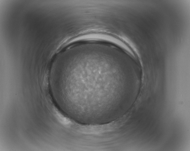 X0000082720009200701261231