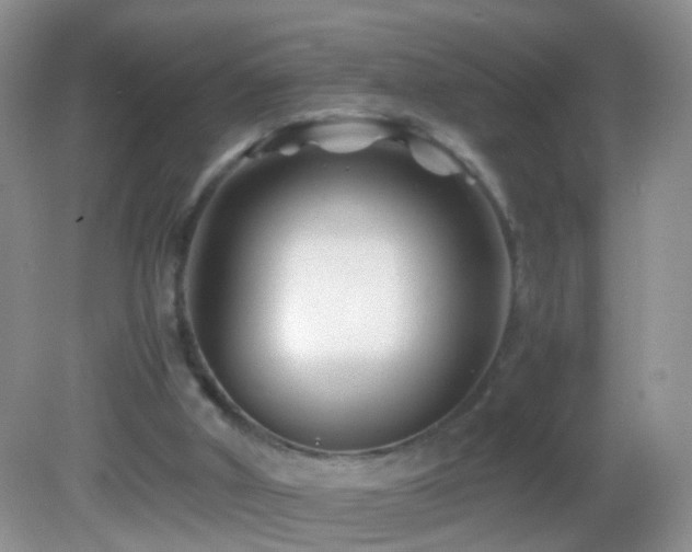 X0000082720010200701261231