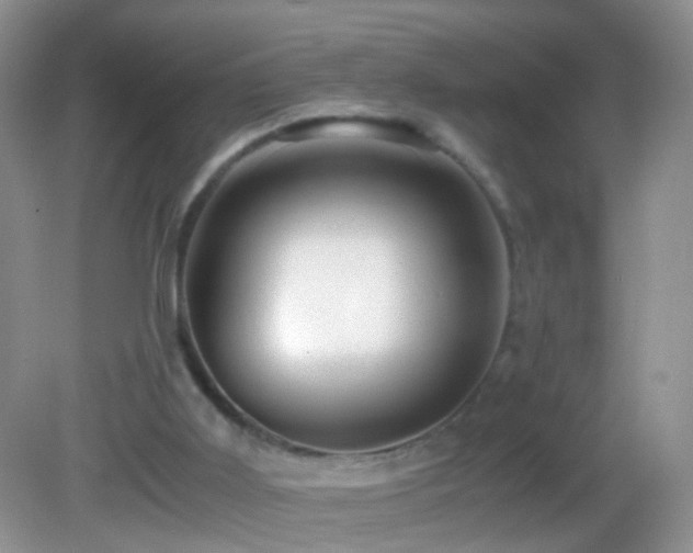 X0000082720011200701261231