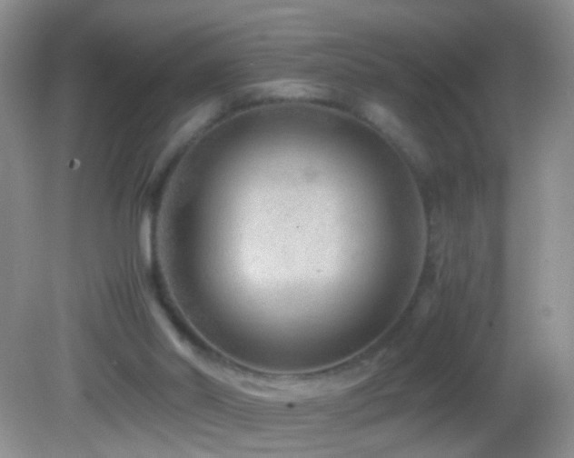 X0000082720014200701261231