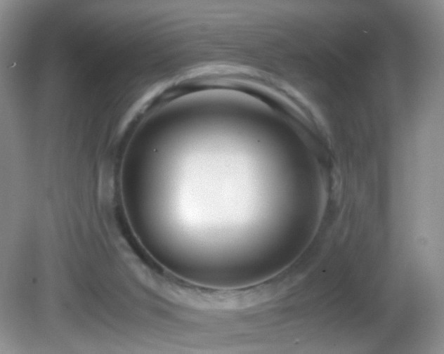 X0000082720015200701261231
