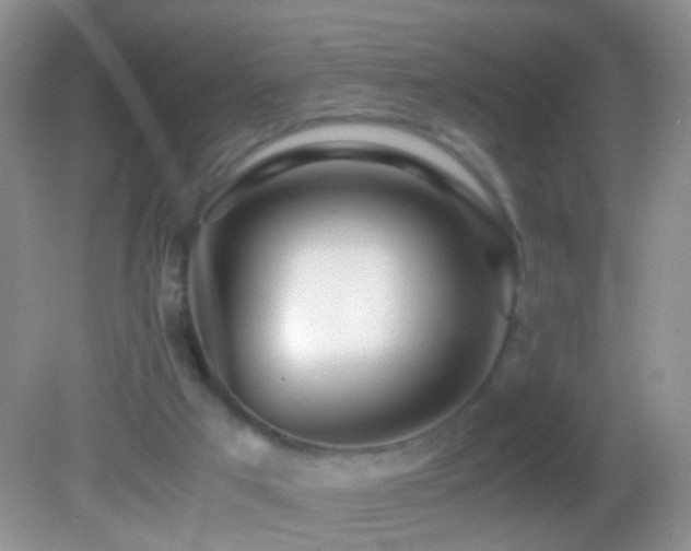 X0000082720017200701261231