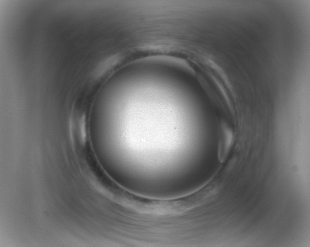 X0000082720020200701261231