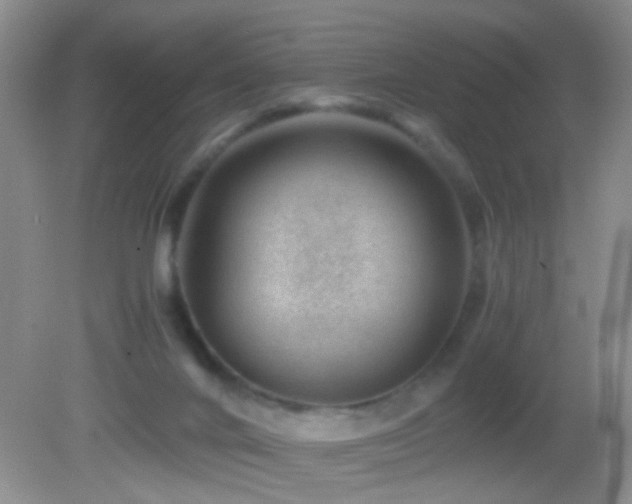 X0000082720024200701261231