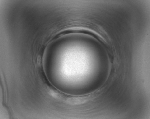 X0000082720025200701261231