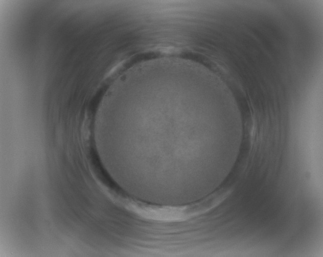 X0000082720032200701261230