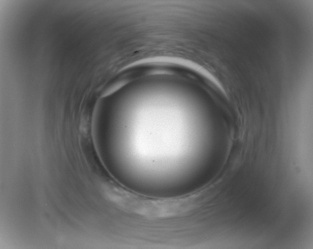 X0000082720033200701261230