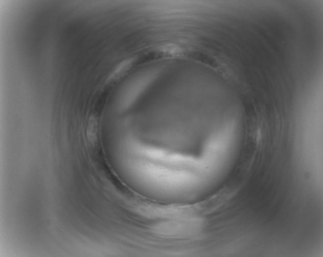 X0000082720036200701261230
