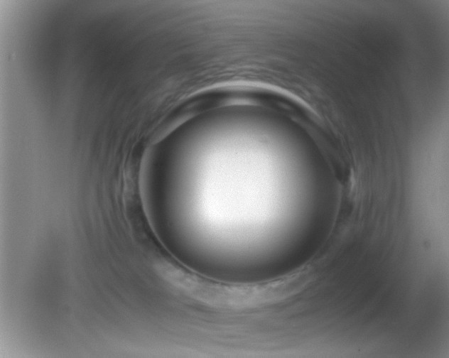 X0000082720037200701261230