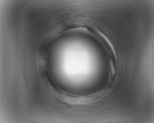 X0000082720040200701261230