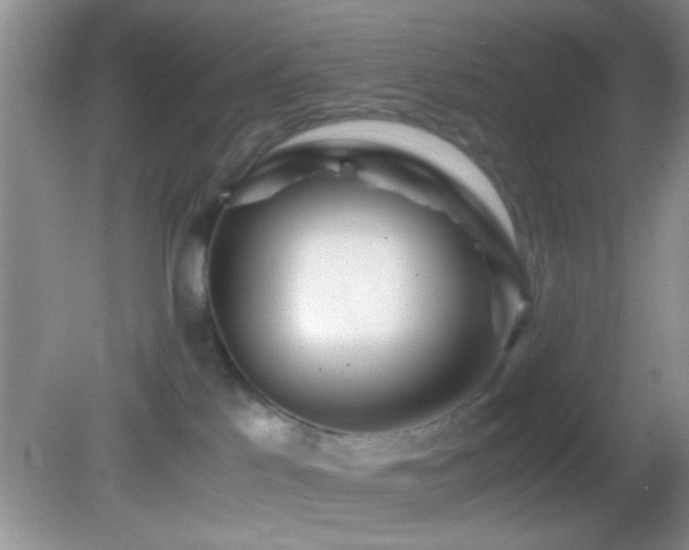 X0000082720041200701261230