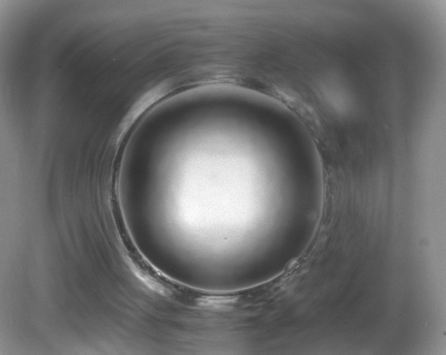 X0000082720051200701261229