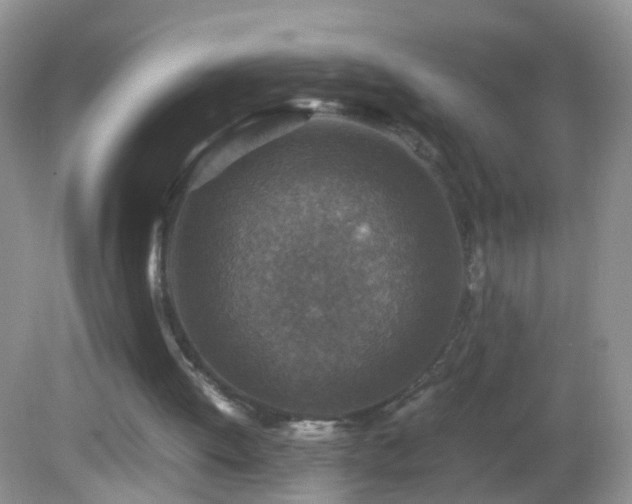 X0000082720052200701261229