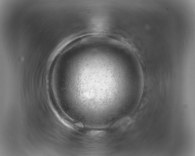 X0000082720055200701261229