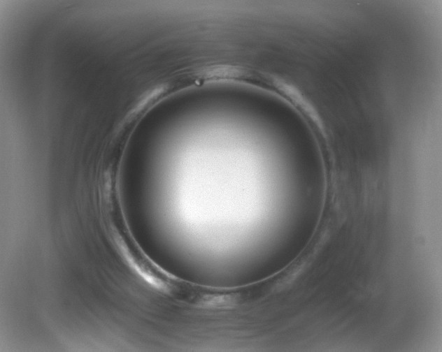 X0000082720057200701261230