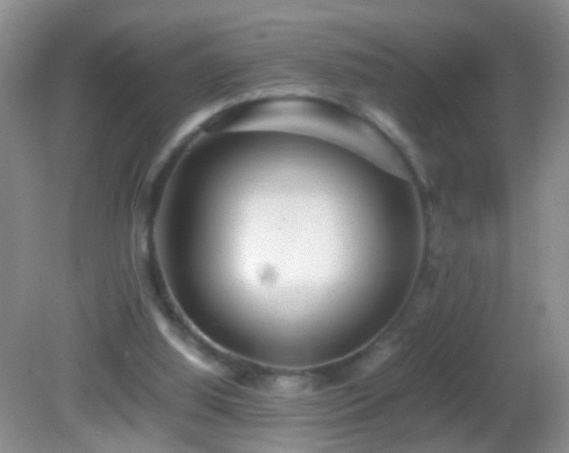 X0000082720060200701261230