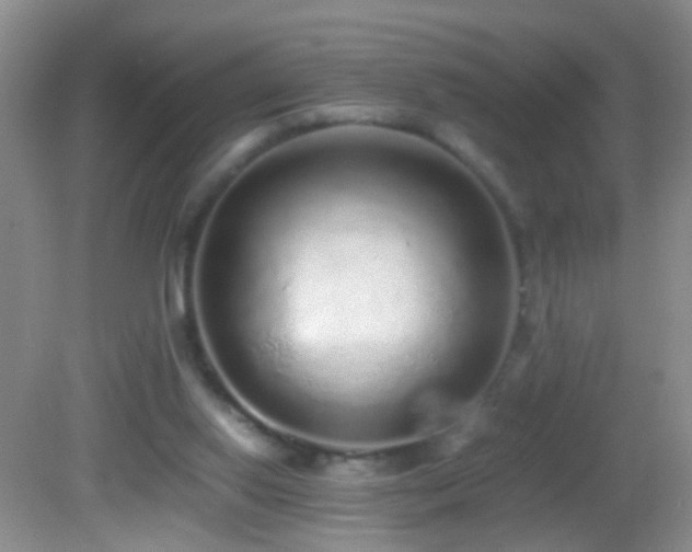 X0000082720062200701261230