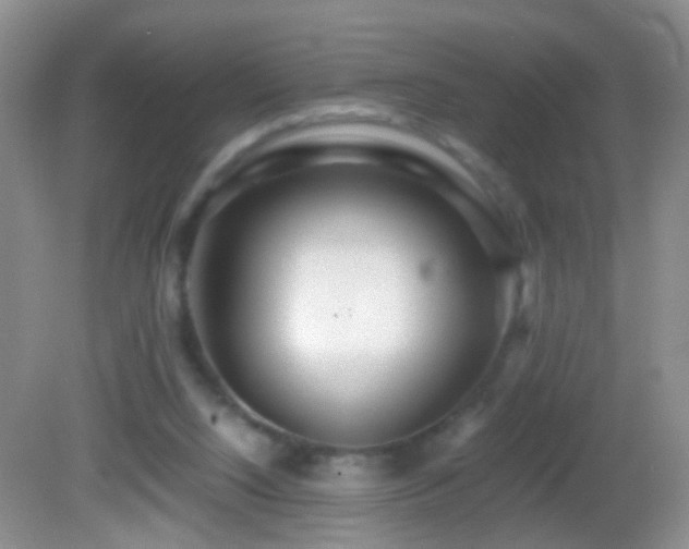 X0000082720064200701261230