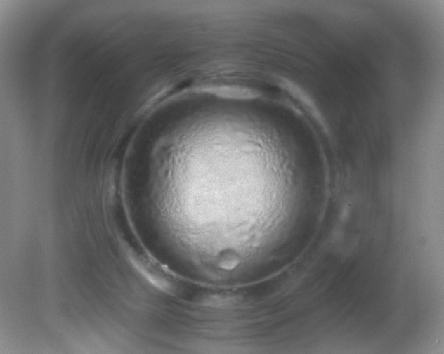 X0000082720065200701261230