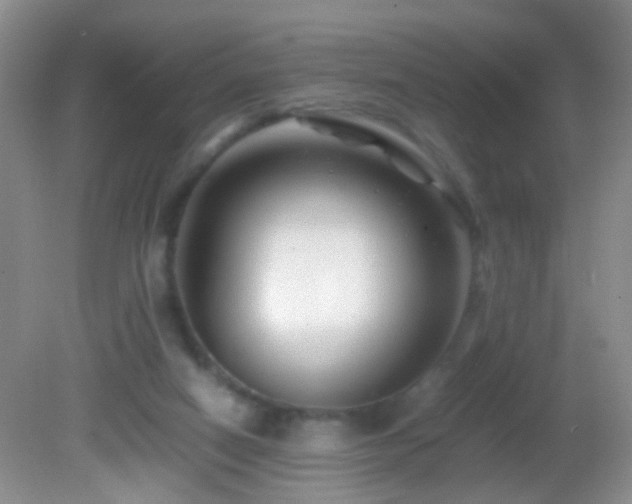 X0000082720066200701261230